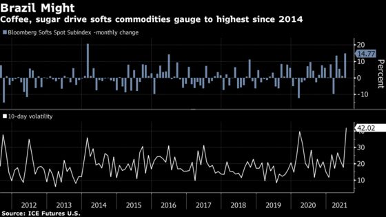 Sugar, Coffee Slip from Multiyear Highs as Frost Fears Ease