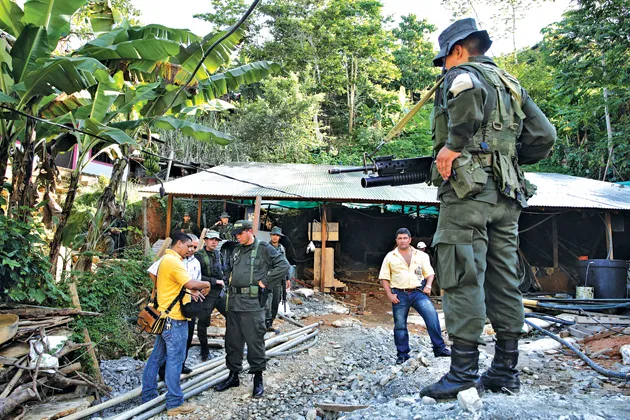 Colombia's Rebels Catch the Gold Bug
