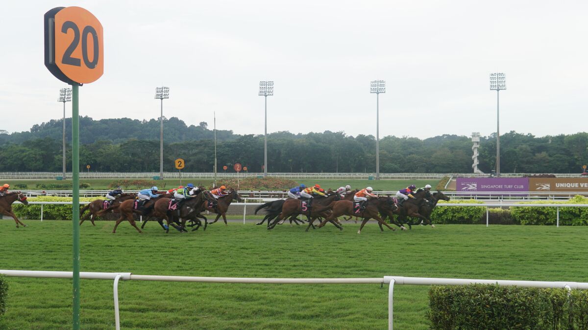 featured image thumbnail for post Singapore Ends 181 Years of Horse Racing to Make Way for Homes