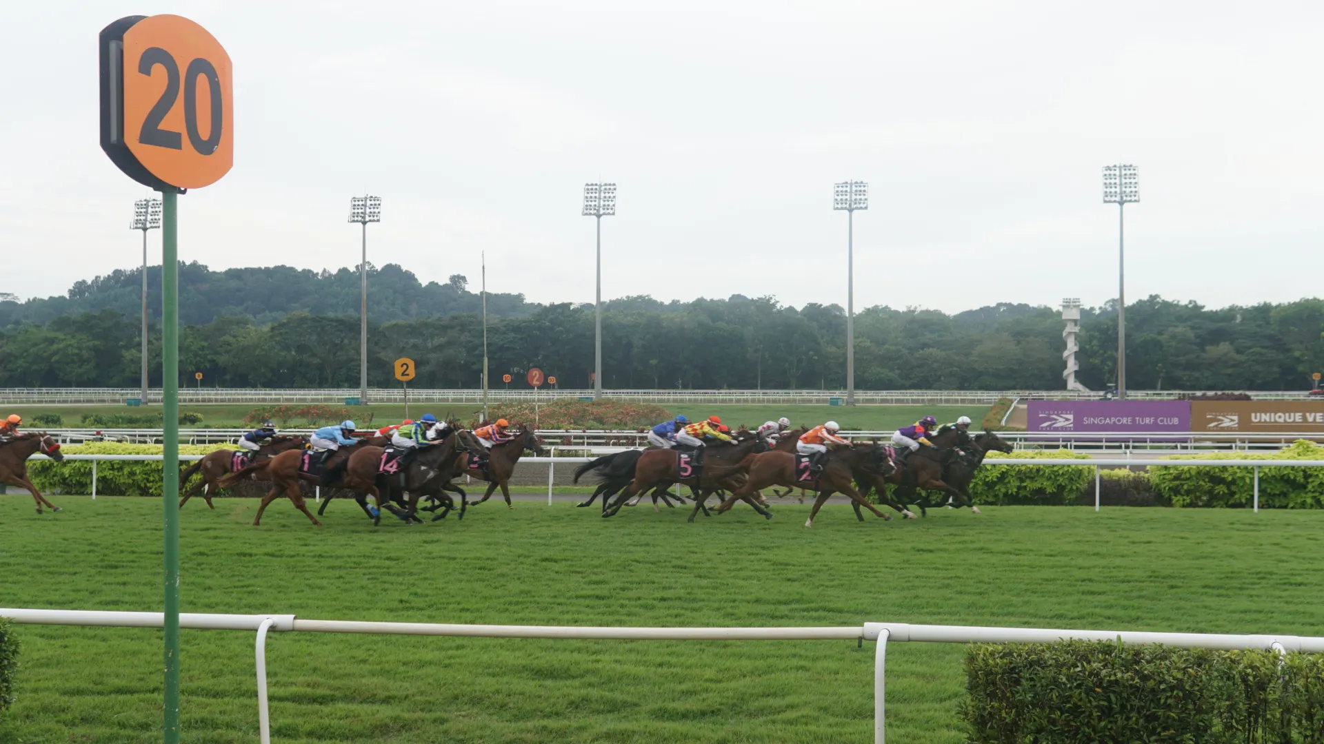 Singapore Ends 181 Years of Horse Races to Redevelop Land - Bloomberg