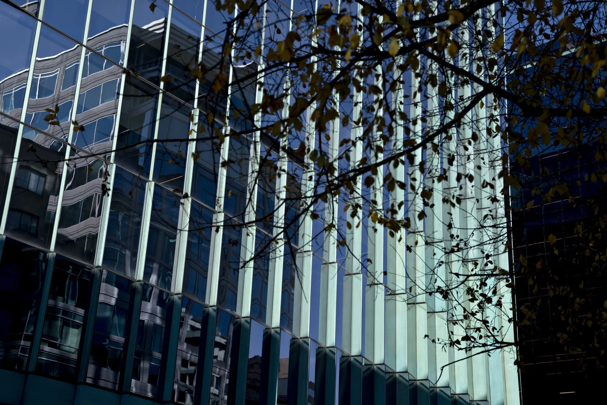 The Federal National Mortgage Association (Fannie Mae) headquarters stands in Washington, D.C.&nbsp;