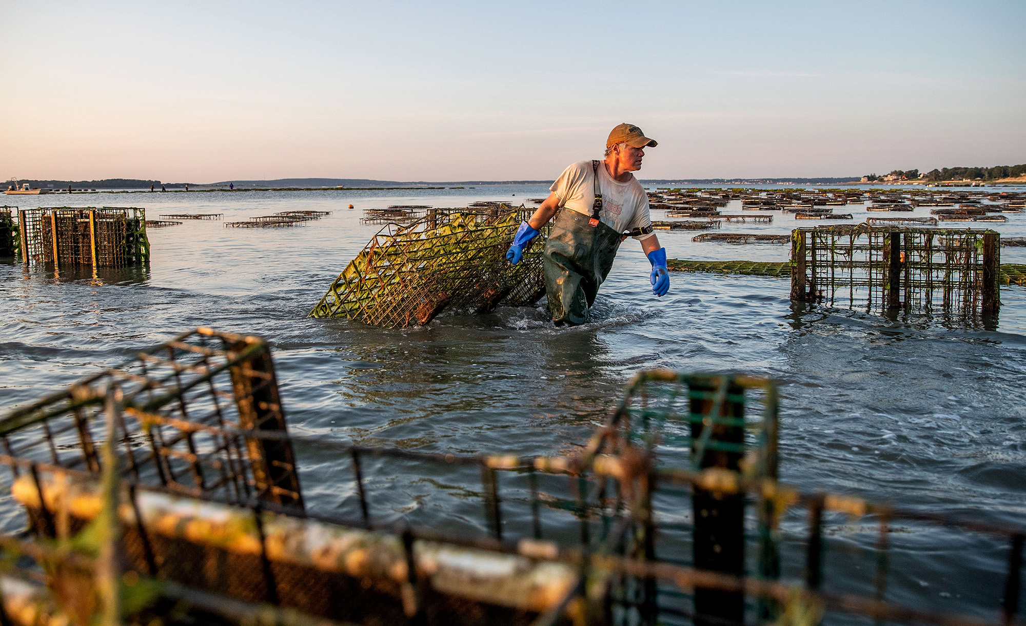 Fishing world grows greener - ESPN