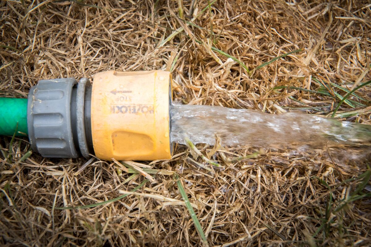 How Long Will Thames Water Hosepipe Ban Last at Anna Coppola blog