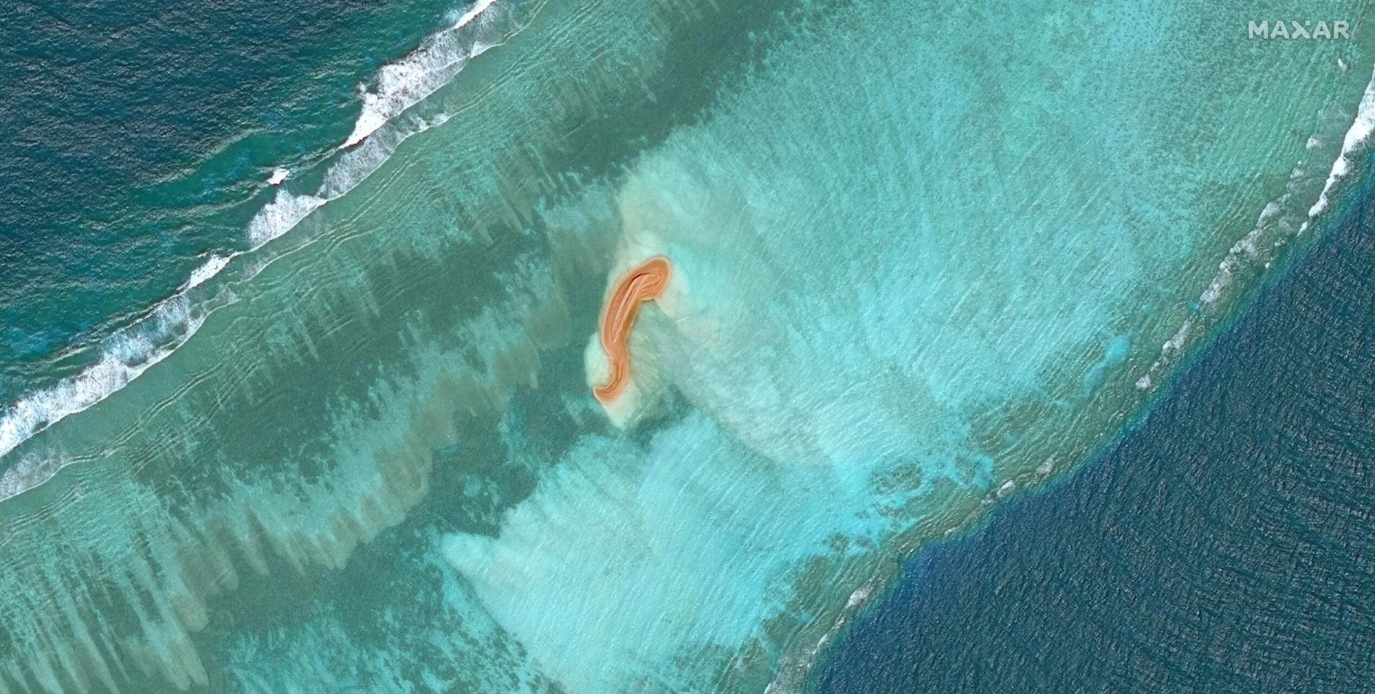 Eldad Reef on Nov. 4.