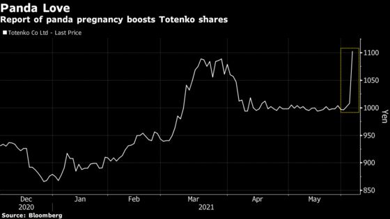 Restaurant Stock Leaps 29% on Report of Panda Pregnancy at Tokyo Zoo