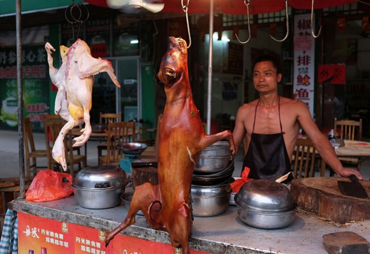 Chinese people shop eat dogs