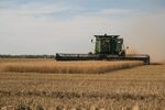 A farmer harvests wheat in Culver, Kansas.