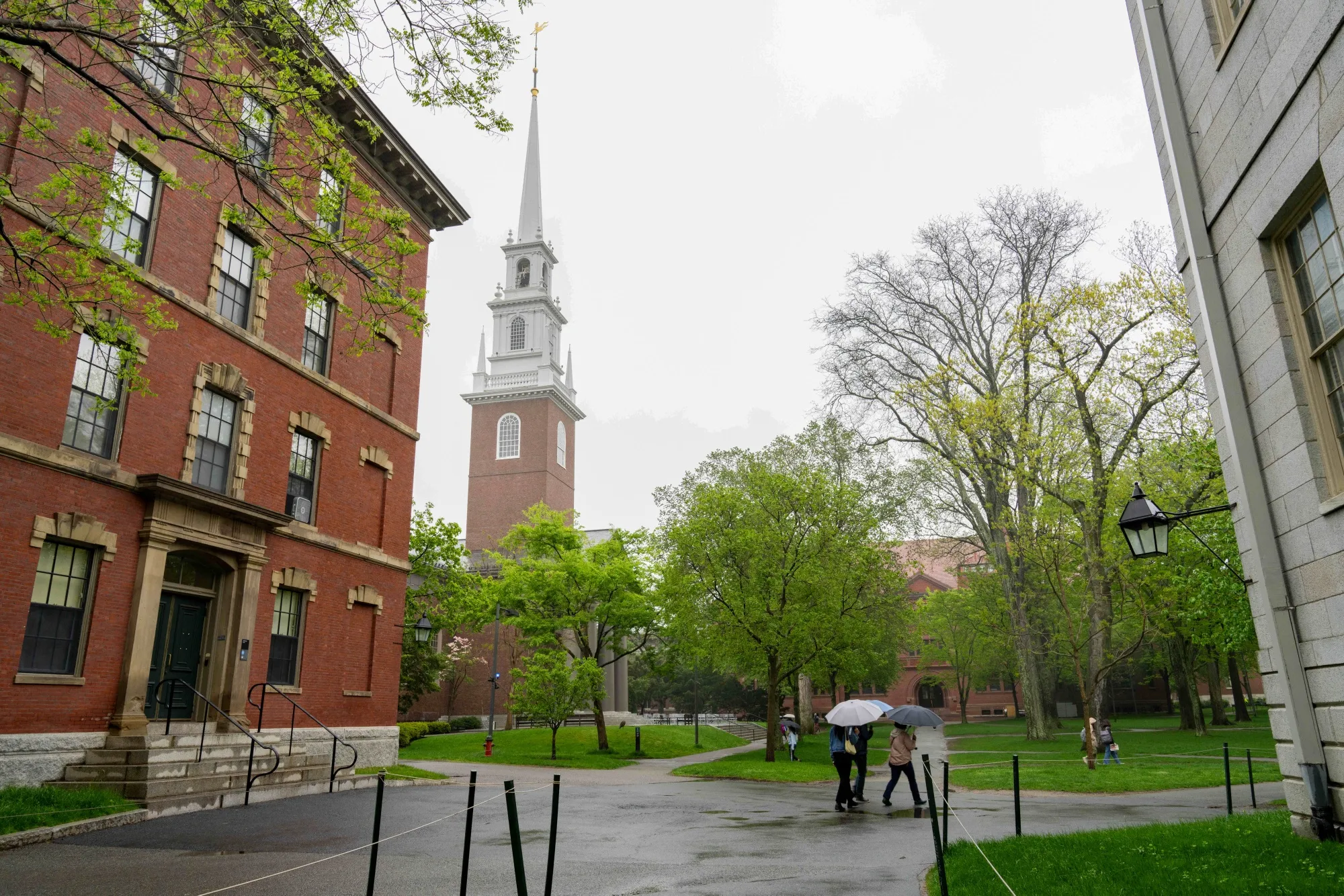 ハーバード大の外国人留学生受け入れ資格、トランプ政権が剥奪 - Bloomberg