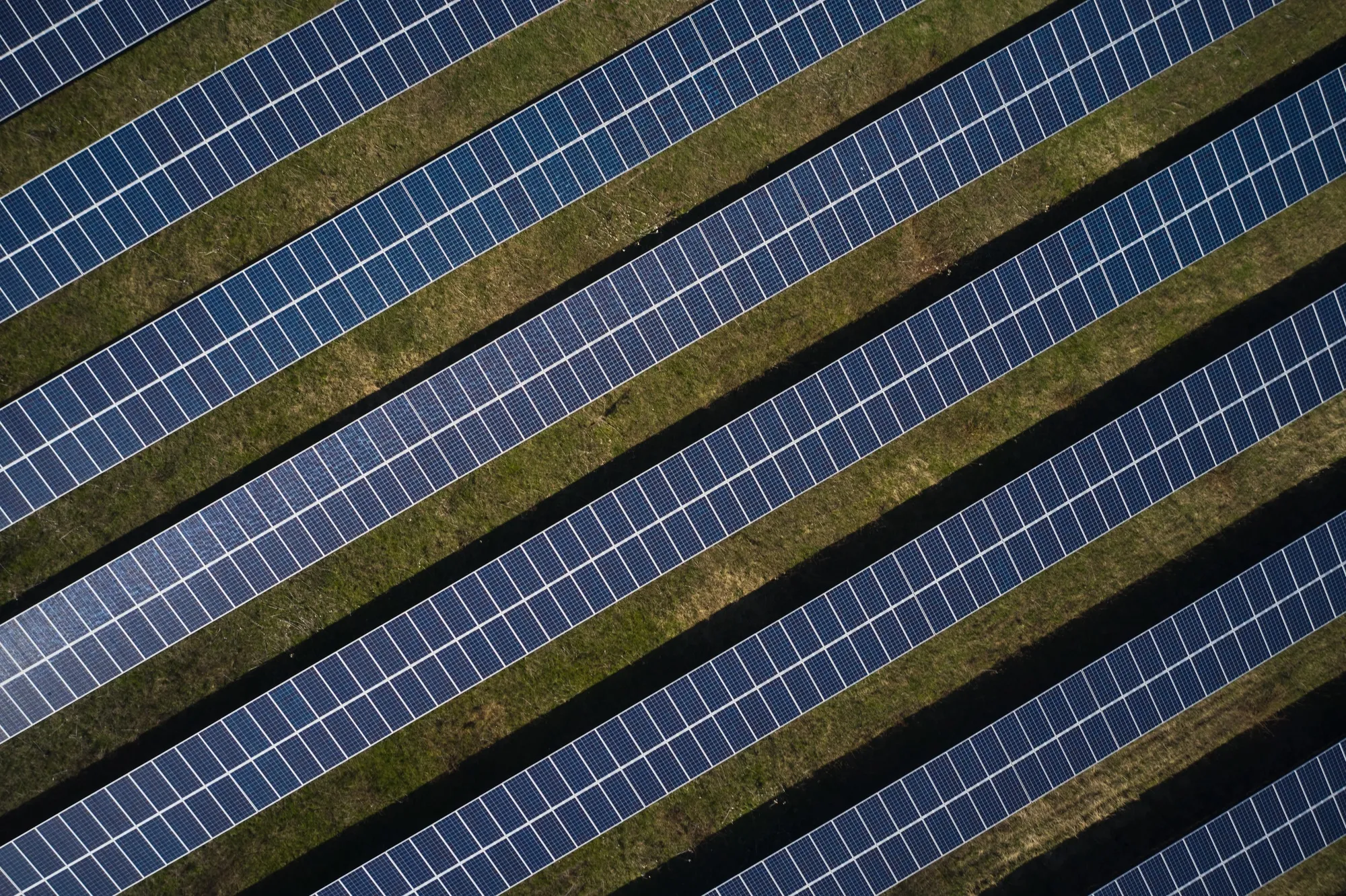 Solar panels at the Cascadilla Community Solar Farm, owned by Cornell University, in Dryden, New York, in 2023.&nbsp;