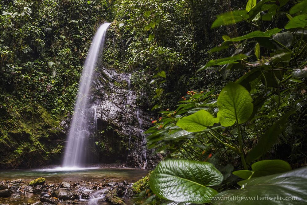 Waterfall San Vincente, Mashpi Cloud Forest, Choco Rainforest, Ecuador, South America