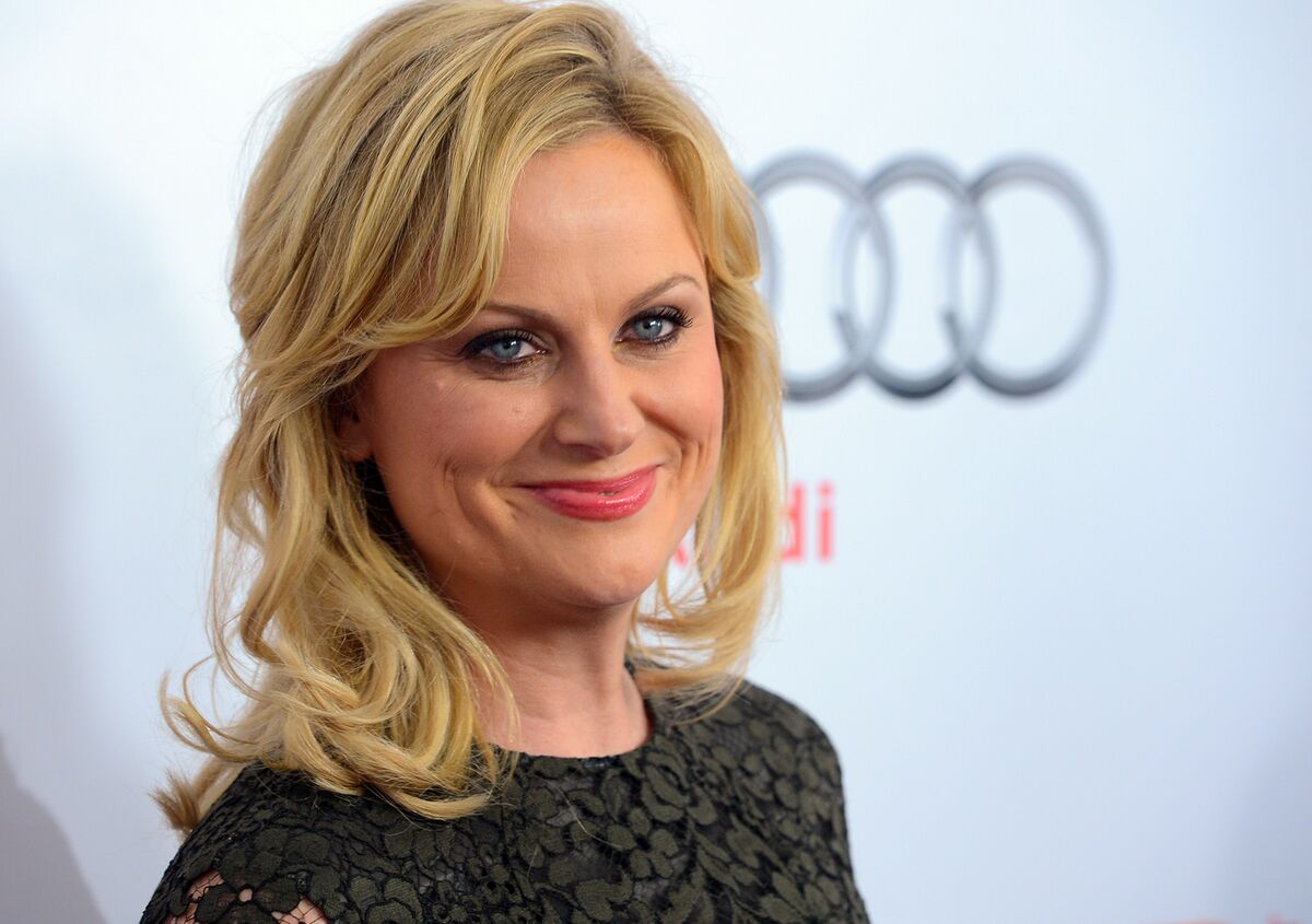 Amy Poehler Fake