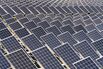 Baofeng Agriculture-Photovoltaic Integration Industrial Base