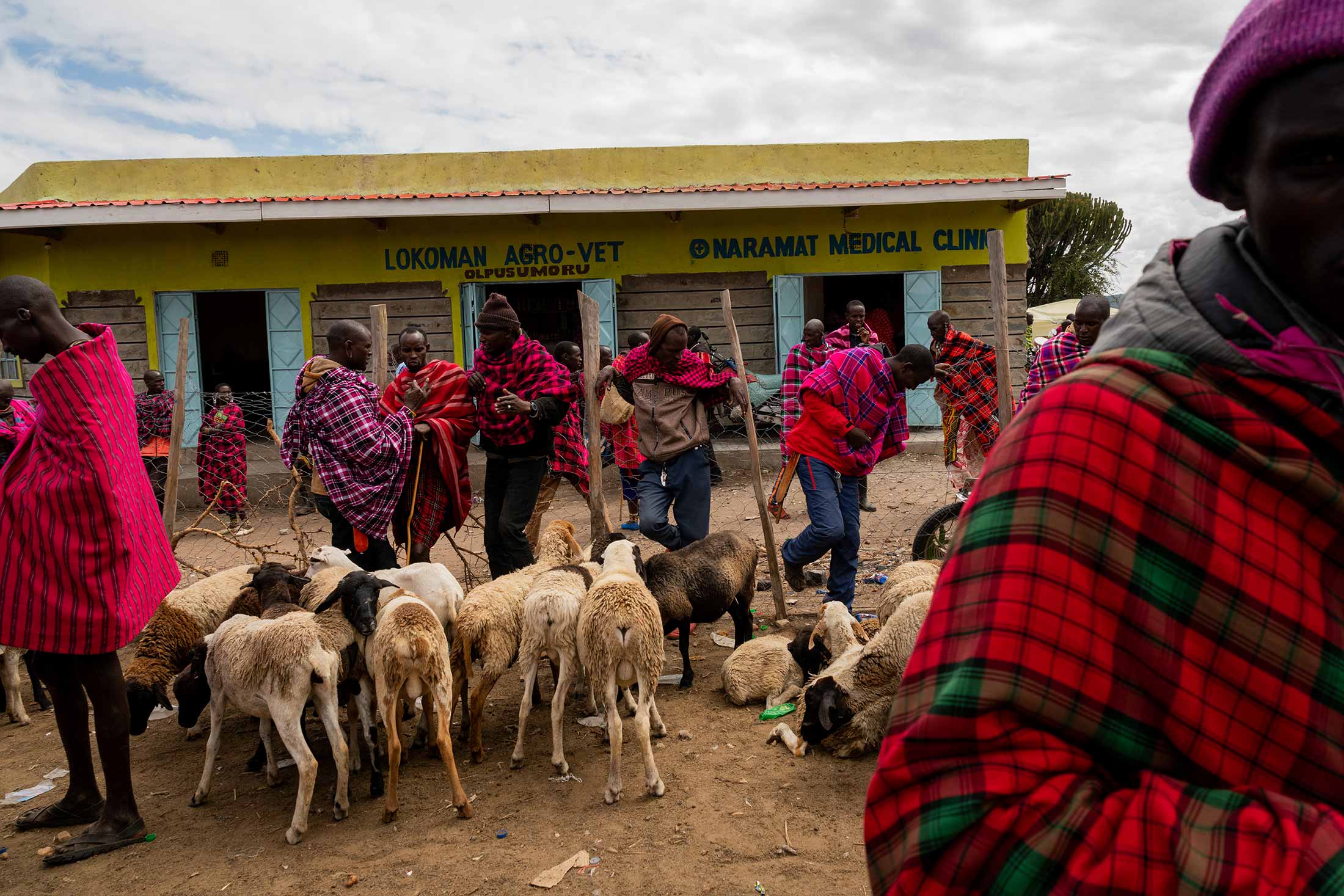 Africa's Maasai Tribe Seek Royalties for Commercial Use of Their