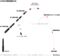 How an ICBM Delivers the Bomb - Japanese
