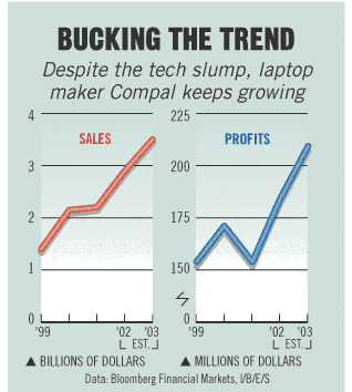 Bucking The Trend