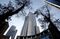 OFFICE BUILDINGS SYDNEY