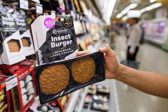 Coming Soon: Faux-Meat Burgers Made From Maggots and Mealworms