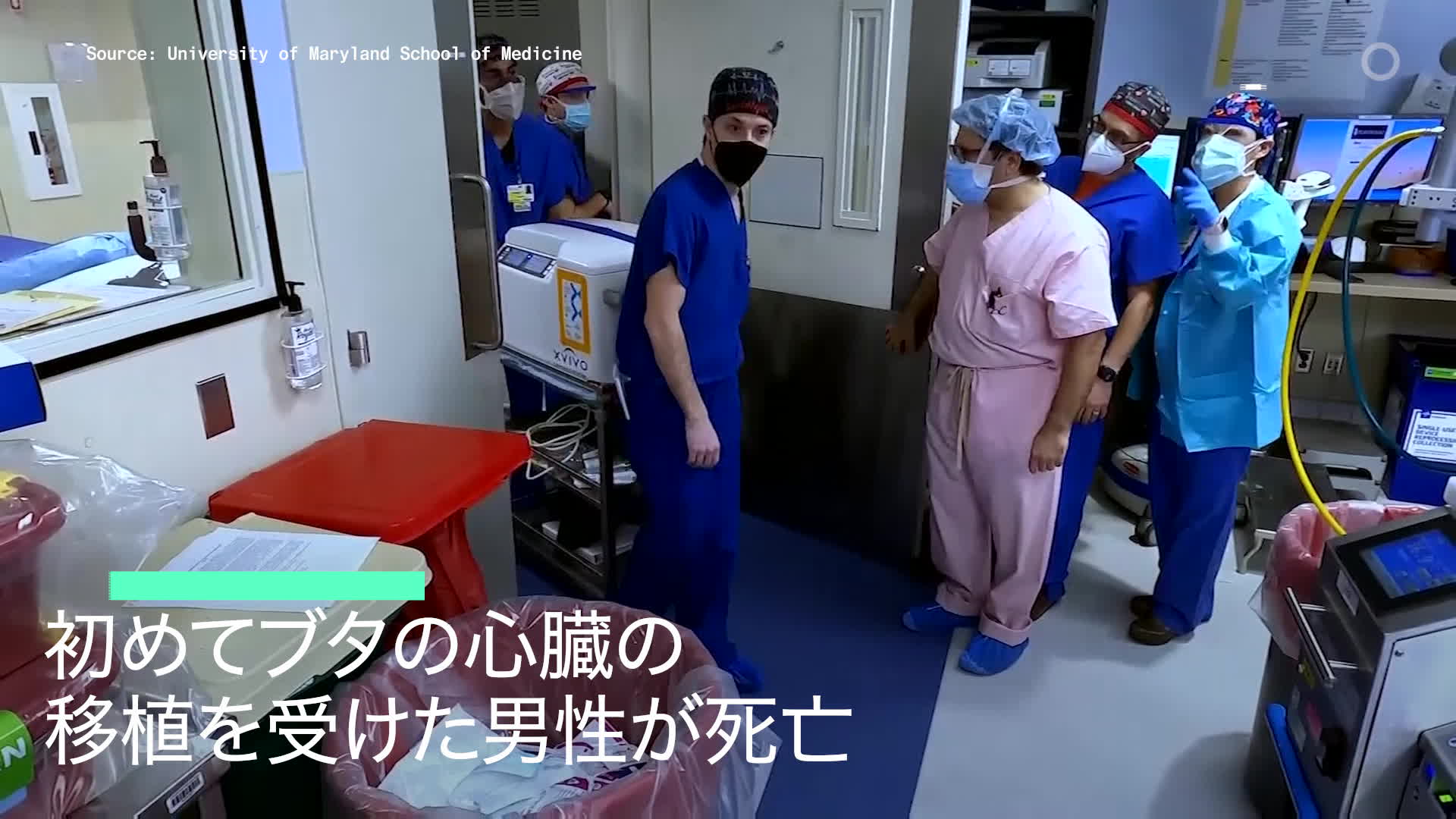 ブタの心臓を初めて移植された男性が死亡 Bloomberg ブタの心臓を初めて移植された男性が死亡 Bloomberg