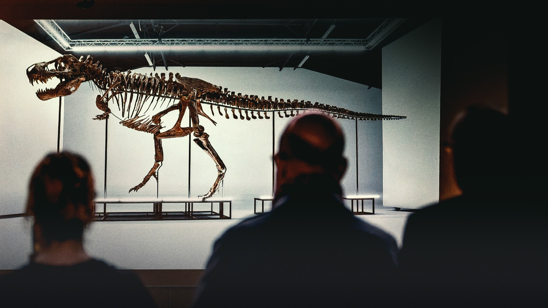 Video: The $25 Million T. Rex Auction That Fell Apart