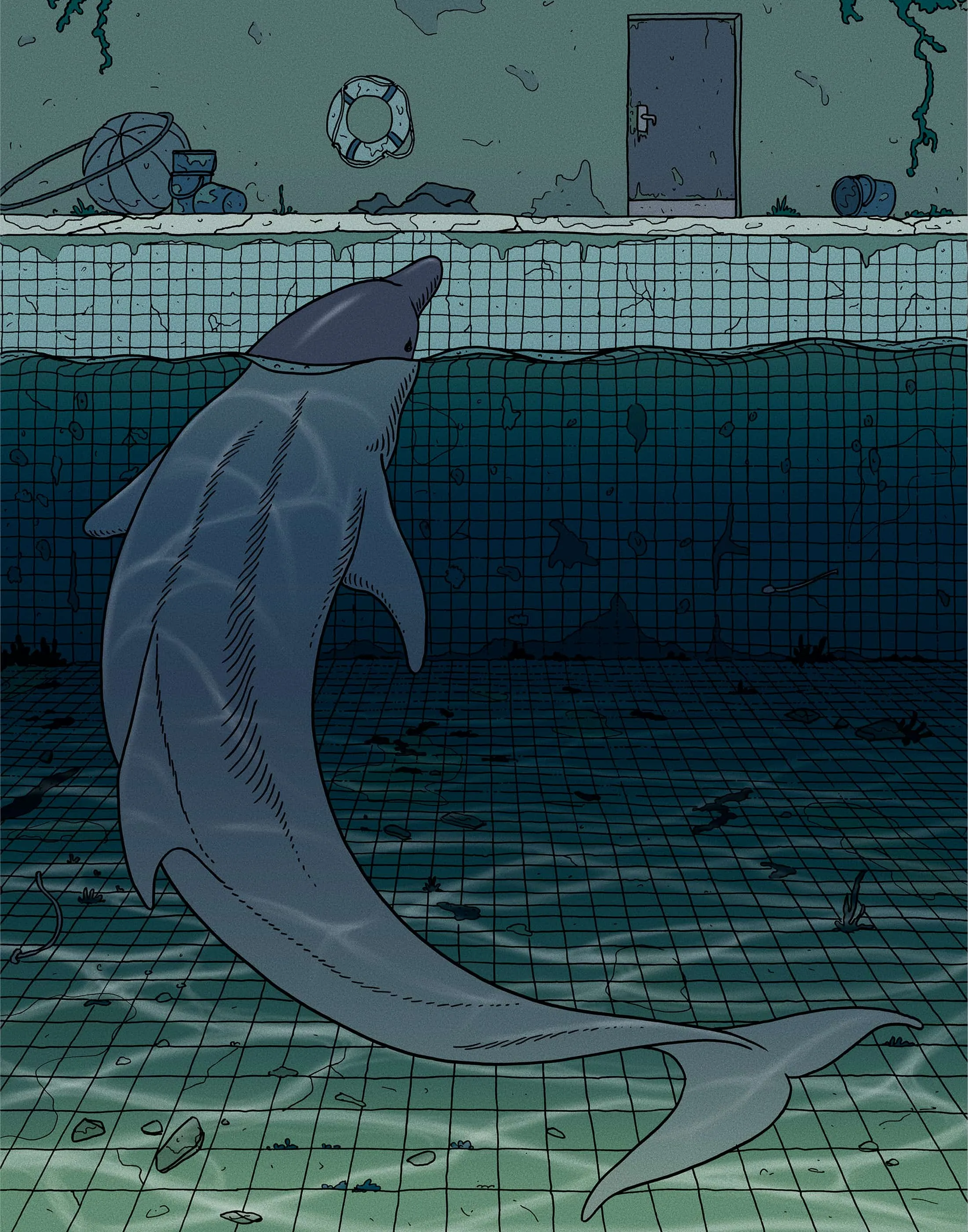 Dead Dolphins Spark Management Fight Over Cancun Aquatic Parks - Bloomberg