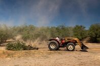 relates to California’s Drought Is So Bad That Almond Farmers Are Ripping Out Trees