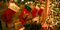 No. 10 Hot Holiday Import: Christmas stockings and decorations