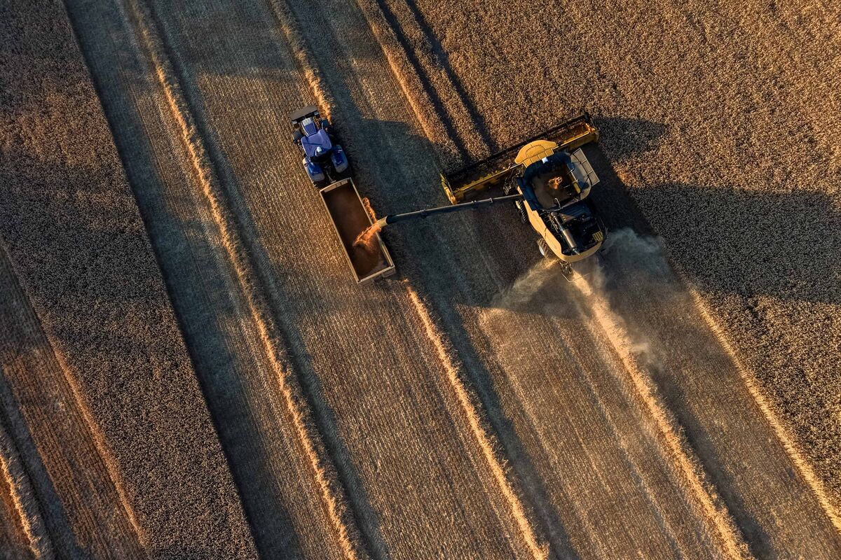 Climate Change Risks Upending the UK’s Political Weather