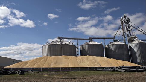 Record Corn Harvests