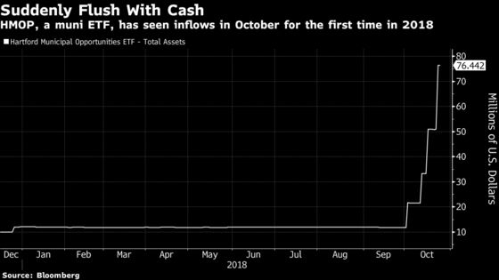 One Investor Bets Big on Tiny Muni ETF Despite Market's Losses