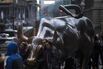 NYSE Markets Bull statue