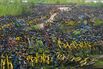 Bike-Sharing Upstarts Are Flooding Europe With Cheap Cycles