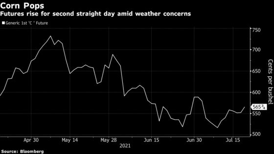 Drought and Heat Lift Corn and Soy Amid Crop Outlook Uncertainty