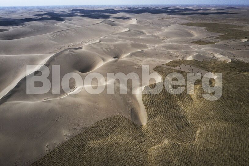 China Strives To Combat Desertification For Sustainable Development