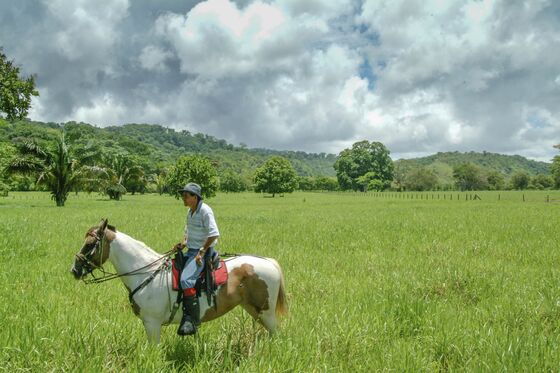 For $24 Million You Can Buy 3,300 Acres of Costa Rican Paradise