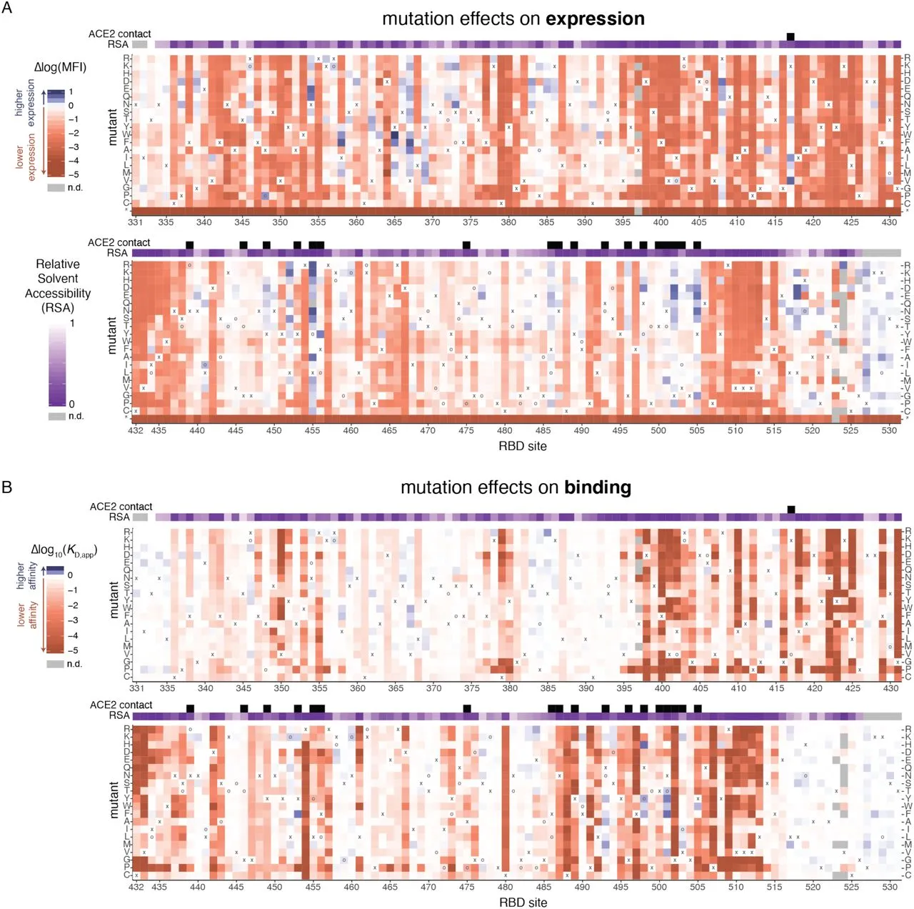 Tyler Starr’s research includes “heatmaps” that show how mutations in the protein sequence of the&nbsp;SARS-CoV-2 “key” structure&nbsp;change&nbsp;its expression&nbsp;and how it binds with receptors in human cells.
