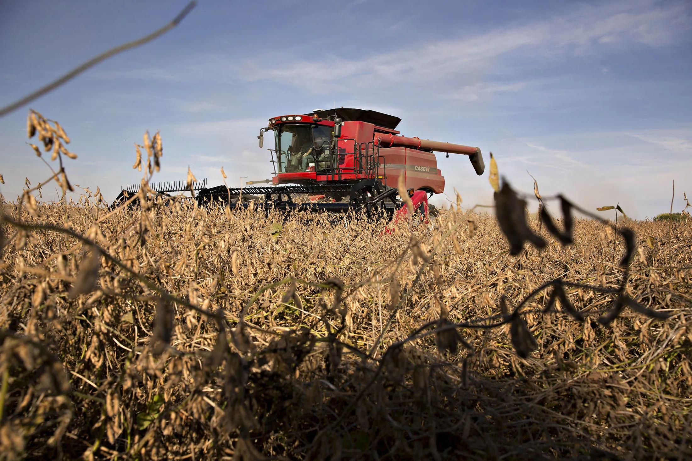 Soybeans are harvested in Illinois. Soybeans are used to make everything from animal feed to cooking oil, soy sauce and tofu. Since 2005, China’s imports of the commodity have more than tripled, and it now buys more than 60 percent of the world’s exports.
