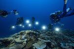 Researchers for the French National Center for Scientific Research study corals in the waters off the coast of Tahiti in December.