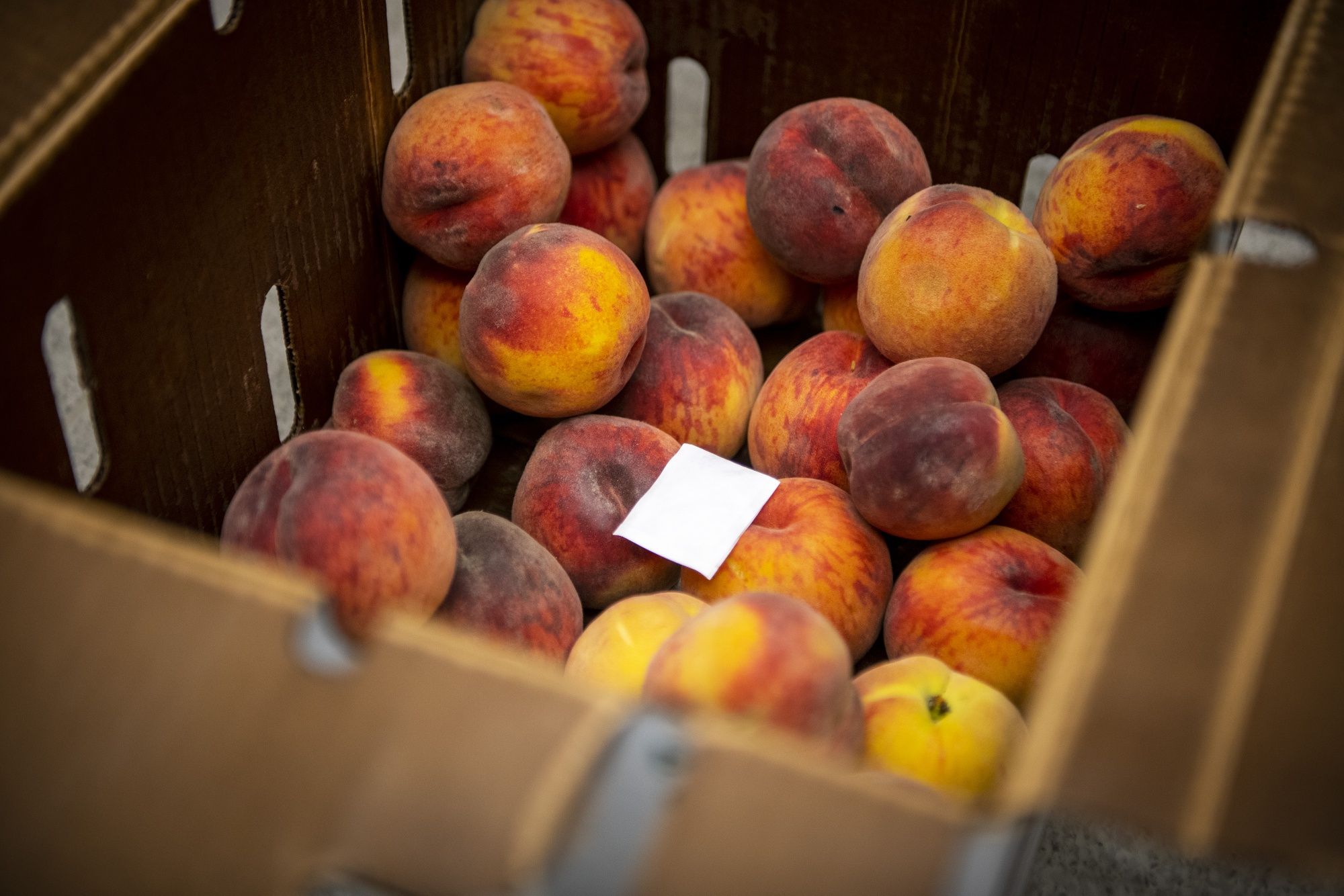 A Grade China Fresh Nectarine Fruit