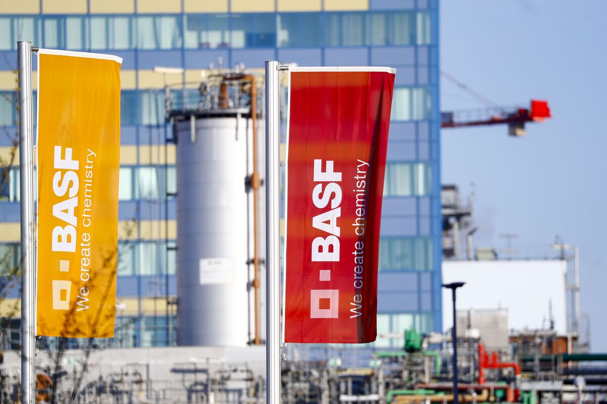 BASF Seeks Banks to Lead IPO of €20 Billion Agrichemical Unit