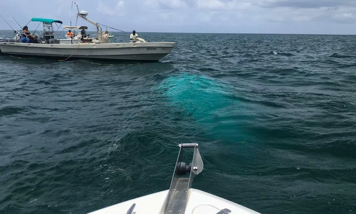 &nbsp;A recovery team stands by at the wreckage site in the Bahamas.