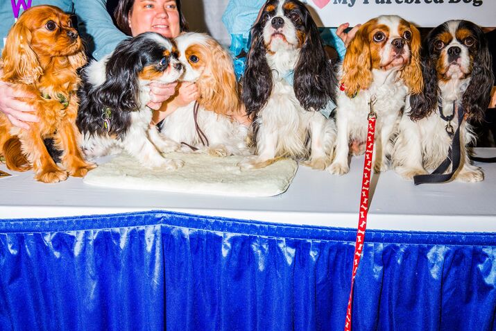 1503068006_309980012