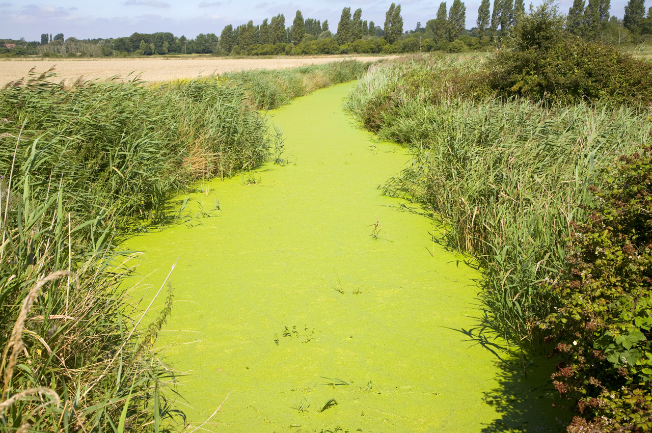 Human Activities Sources Water Pollution