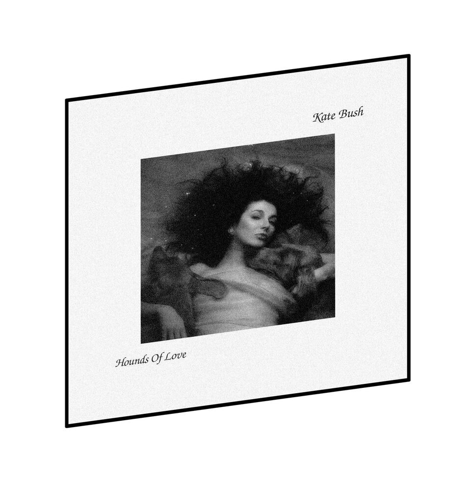 Hounds of Love album cover