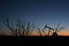 The silhouette of a pumpjack is seen at dusk in the Permian Basin near Midland, Texas, U.S., on Friday, March 2, 2018. Chevron, the world's third-largest publicly traded oil producer, is spending $3.3 billion this year in the Permian and an additional $1 billion in other shale basins. Its expansion will further bolster U.S. oil output, which already exceeds 10 million barrels a day, surpassing the record set in 1970.