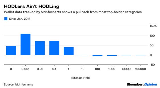 Bitcoin's Greater Fools Go Into Hiding