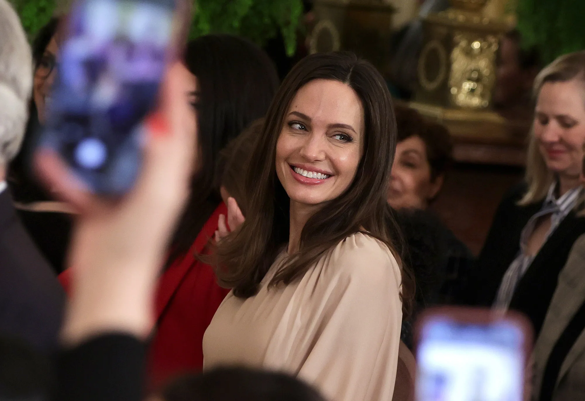 Women With Angelina Jolie Gene Could Be Monitored for Breast Cancer Risk -  Study - Bloomberg