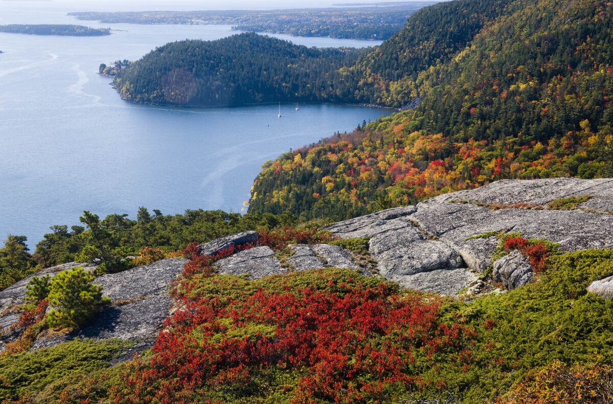 The Perfect Fall Foliage Drive Is Along Maine S Coastal Route 1 Bloomberg