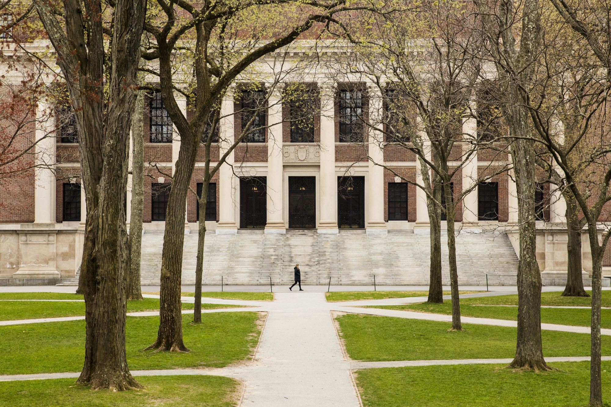 A pedestrian walks through Harvard Yard on the closed Harvard University campus in Cambridge, April 20.