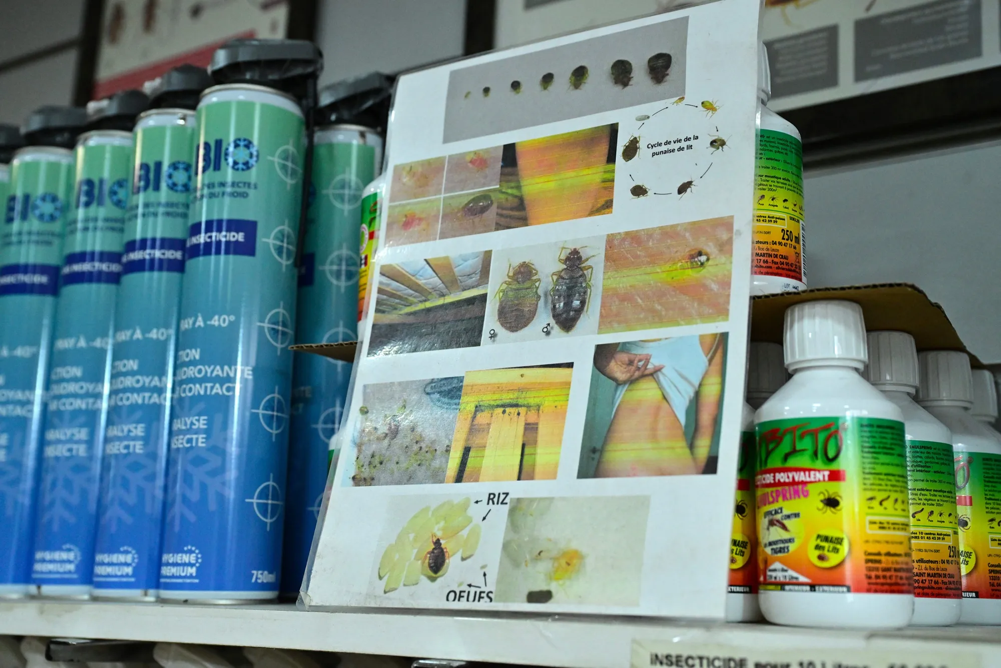 A pest control shop in Paris. The French government said&nbsp;it was launching a concerted effort to fight bedbugs that have appeared in numbers in public transport, cinemas and hospitals.