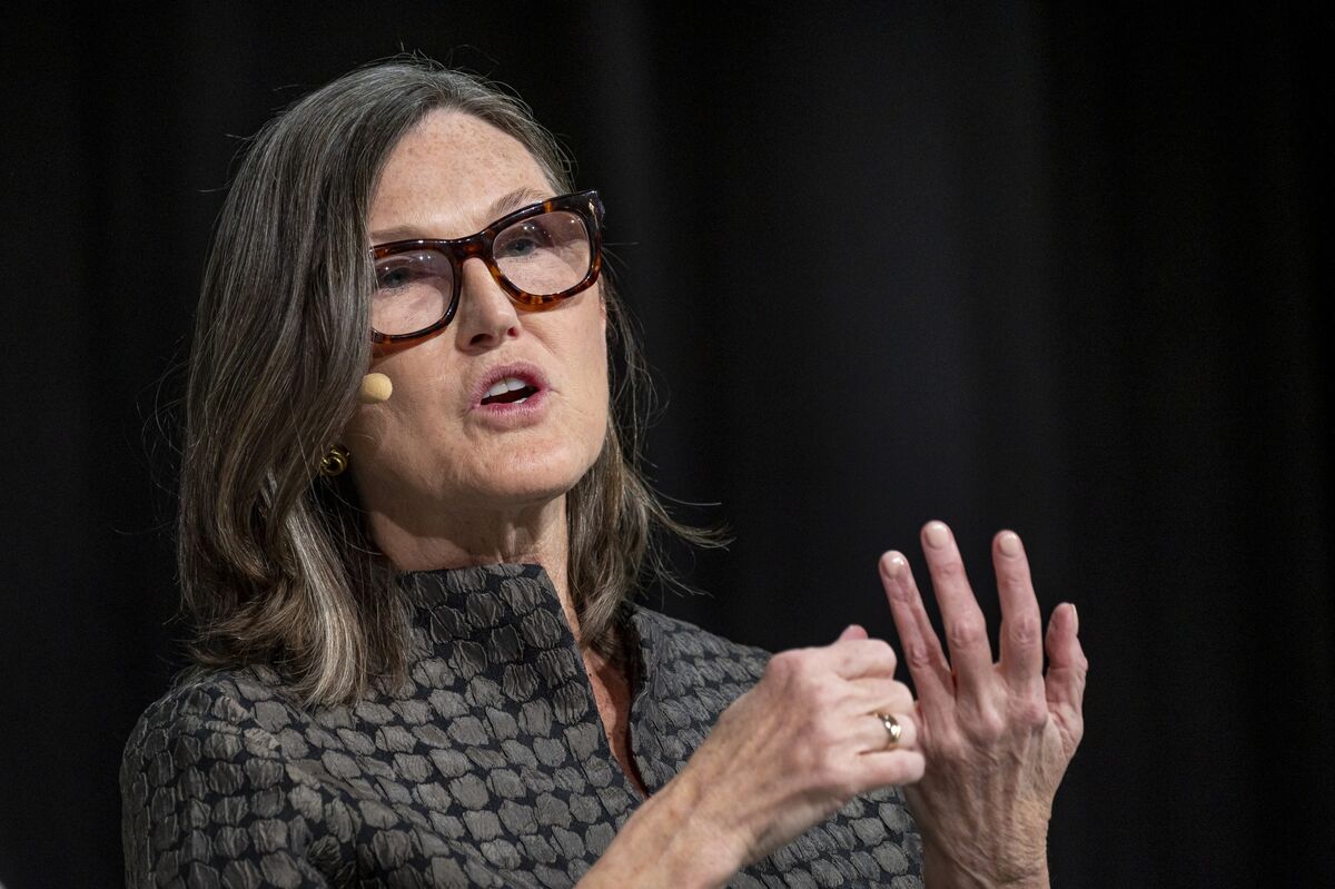 Cathie Wood Predicts a Wave of Startup M&A After Trump Election - Bloomberg